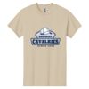 Heavy Cotton 100% Cotton T Shirt Thumbnail
